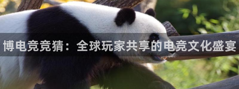 小艾电竞网页版登录：博电竞竞猜：全球玩家共享的电竞文化盛宴