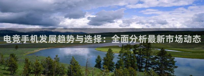 小艾电竞网页版登录：电竞手机发展趋势与选择：全面分析最新市场动态