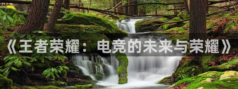 小艾电竞网页版登录：《王者荣耀：电竞的未来与荣耀》