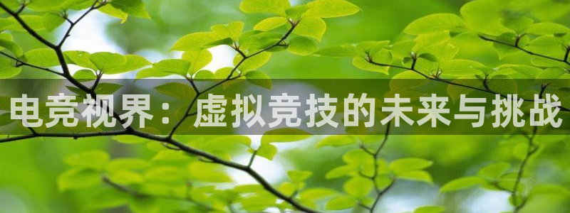小艾电竞平台官方网：电竞视界：虚拟竞技的未来与挑战